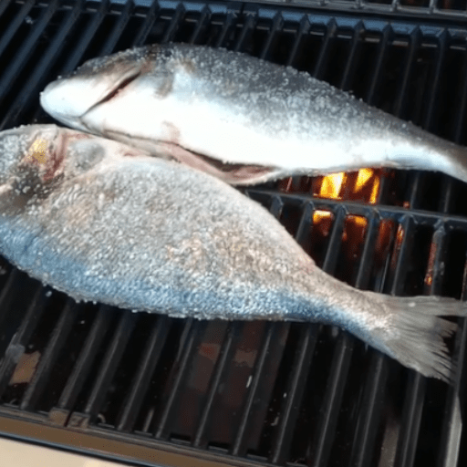 Grilled Fish / Peixe Grelhado